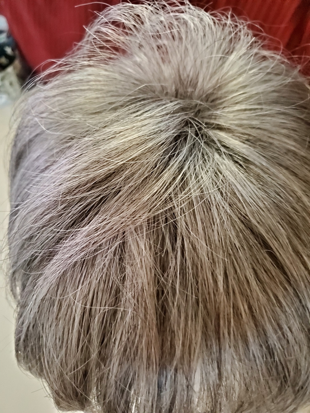 Godiva's Secret Freedom Average Wig Layered Natural Grey Orig 209. Now 80. NEW - Picture 5 of 15